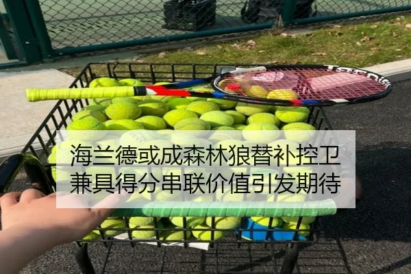 海兰德或成森林狼替补控卫 兼具得分串联价值引发期待 | Milan